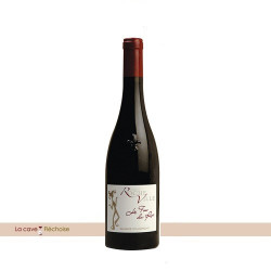 Saumur Champigny le Fou du ROI Domaine de Rocheville