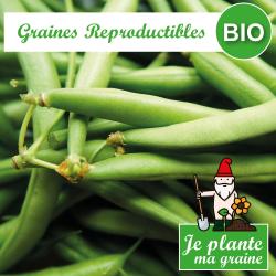 Graines de haricot nain vert rugally bio à semer - Je plante ma graine