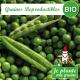 Graines de pois nain à ecosser rondo bio à semer Je plante ma graine