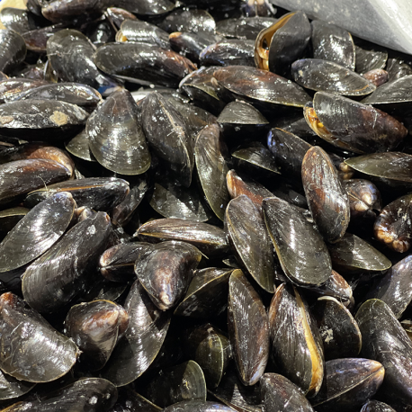 Moules Moules