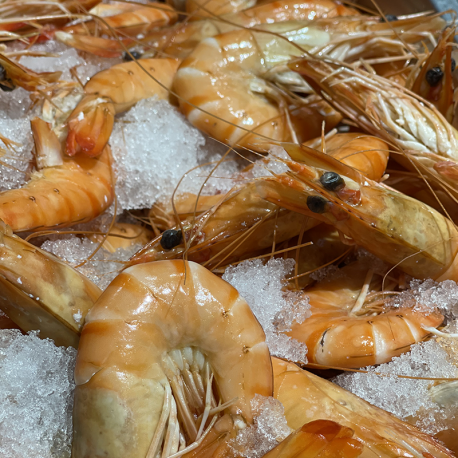 Crevettes de Madagascar