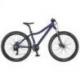 CONTESSA 26 DISC 2021