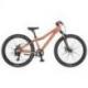 CONTESSA 24 DISC 2021