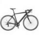 SPEEDSTER 50 2021