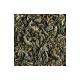 thé vert menthe 25 sachets