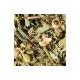 Tisane des merveilles 24 sachets suremballés