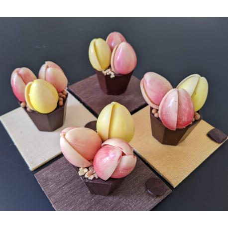 Pot de tulipes en chocolat Pot de tulipes en chocolat