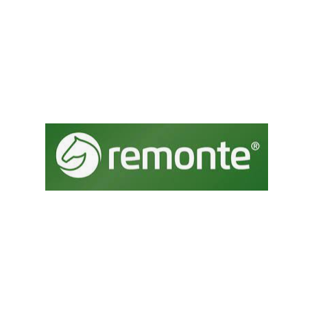 REMONTE REMONTE