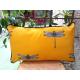 Coussin libellule jaune safran