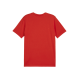 PUMA teamGOAL - Polo rouge