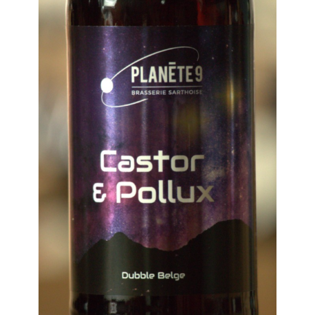 Bière Castor & Pollux BIO