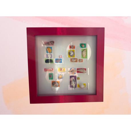 Cadre carré coquillages
