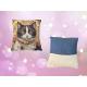 Coussin imprimé Chouettes