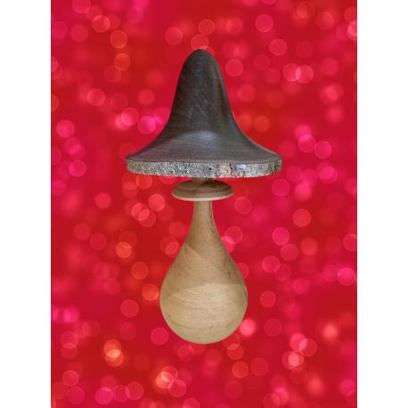Champignon en bois