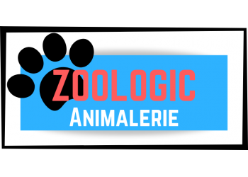 Zoologic Animalerie 